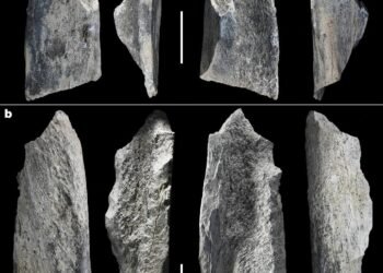 1.5-million-year-old bone tools discovered in Tanzania are the oldest ever, reshaping early hominin technology