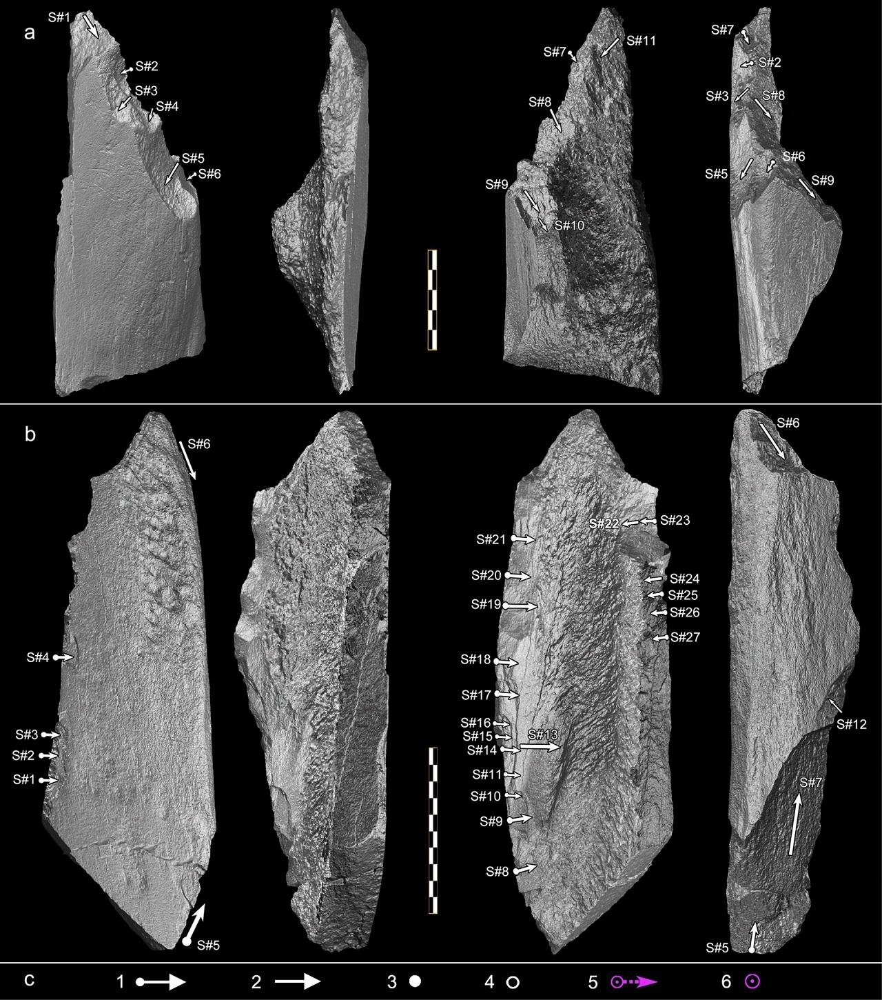 1.5-million-year-old bone tools discovered in Tanzania are the oldest ever, reshaping early hominin technology