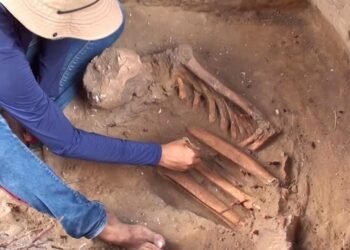 10,000-year-old burials from unknown hunter-gatherers unearthed in Brazil