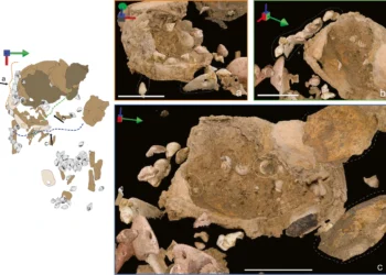 An infant burial provides insights into the use of baby carriers in prehistory