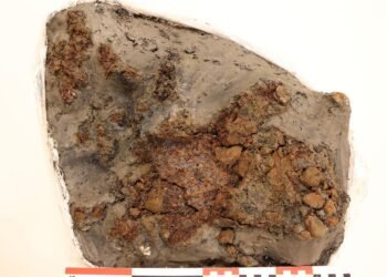 Rare 14th-century gauntlet unearthed in Oslo's medieval harbor