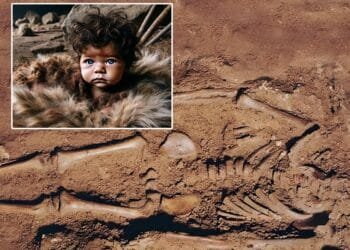 17,000-year-old blue-eyed baby found in Italy