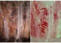 17,000-year-old cave paintings in Wales confirmed as the oldest rock art in the British Isles