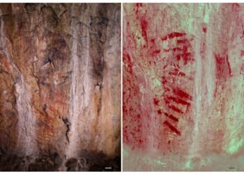 17,000-year-old cave paintings in Wales confirmed as the oldest rock art in the British Isles