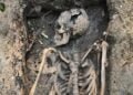 Ghastly discoveries unearthed at 17th-century gallows execution site in Germany