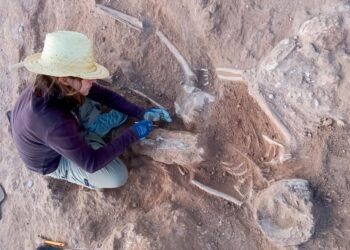 Archaeologists uncover 1,800-year-old Roman soldier burial with dagger at ancient Spanish fortress