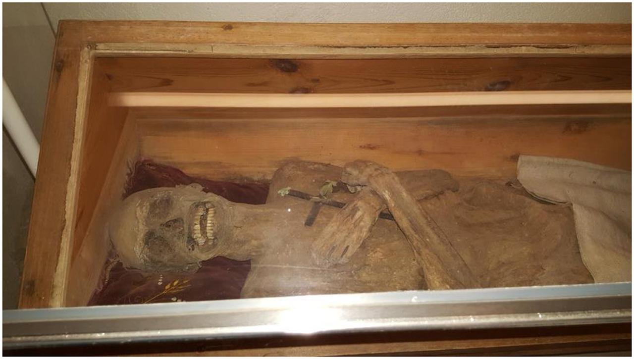 Well-preserved 18th-century Austrian mummy identified as parish vicar embalmed using previously unknown method