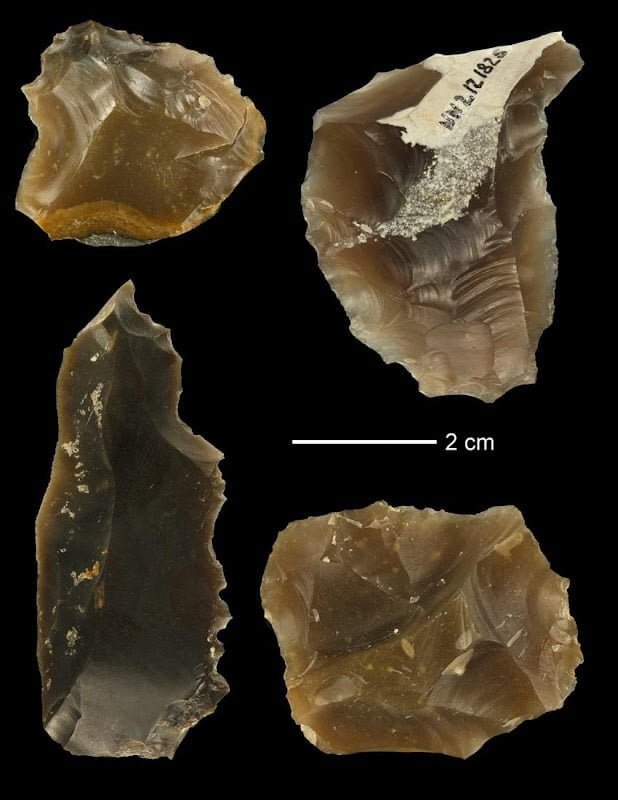 Neanderthals changed ecosystems 125,000 years ago