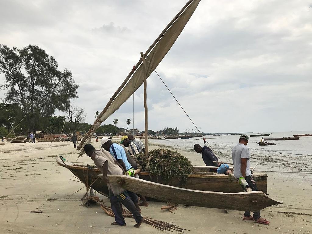 First detailed academic study of East African maritime traditions shows changes in boatbuilding