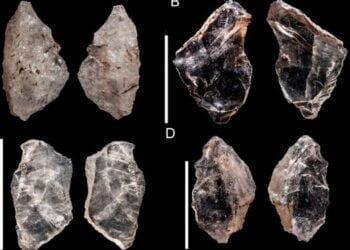 65,000 year-old ‘Swiss Army knife’ suggest a system of prehistoric communication