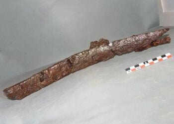 Rusty saber, possibly wielded by medieval Turkish pirates, was discovered in Greece