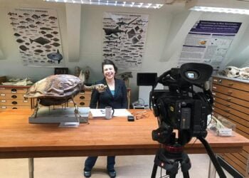 PhD Scholarship on the zooarchaeology of Southwest Asia (University of Groningen, Netherlands)