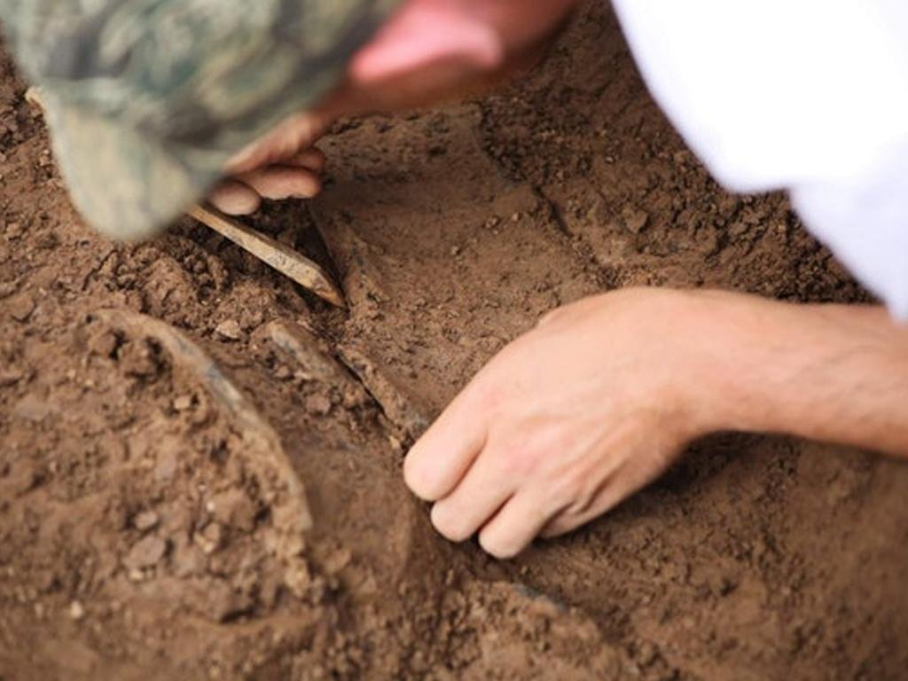 Bronze Age enclosure could offer earliest clues on the origins of Cardiff