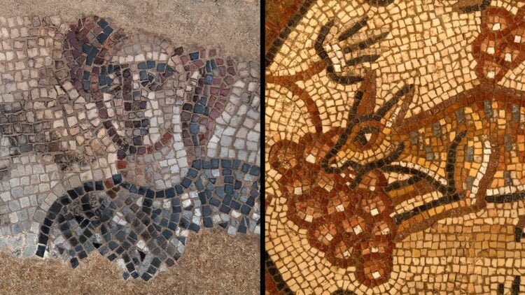 Excavations by Carolina archaeologist reveal first known depictions of two biblical heroines, episode in ancient Jewish art