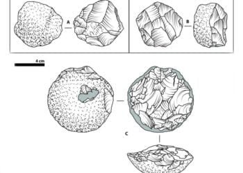 Early stone tools were not rocket science