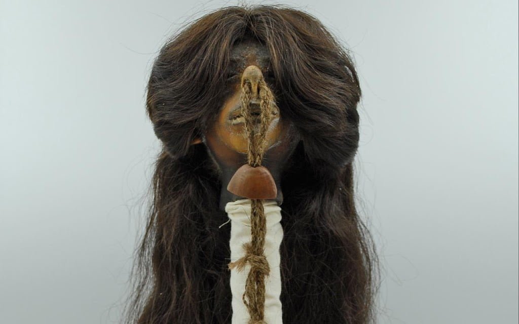 Bioarchaeologists confirm museum shrunken head as human remains