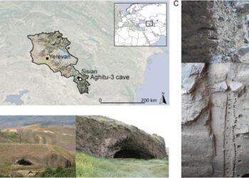 DNA extracted from sediments sheds light on the use of plants by humans in the Paleolithic Age