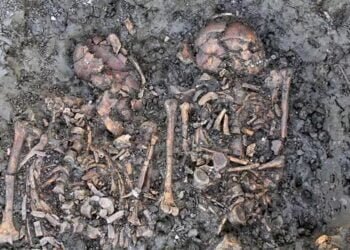 Cheddington 'family tragedy' revealed through Roman DNA bone analysis