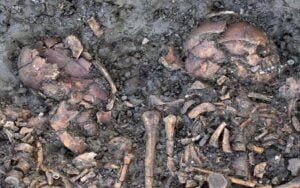 Cheddington 'family tragedy' revealed through Roman DNA bone analysis