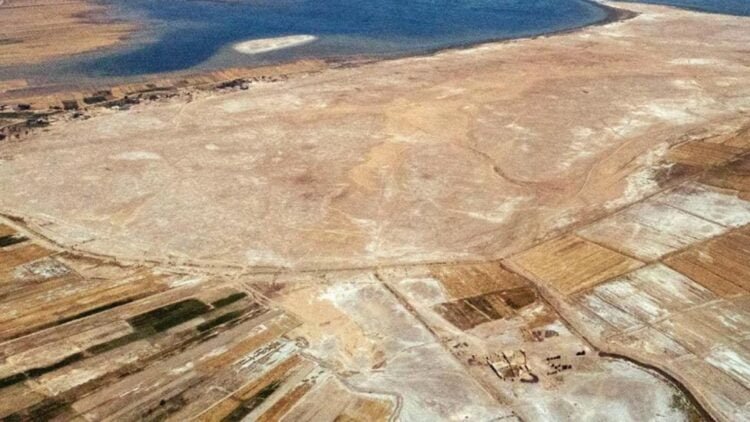 Drone photos reveal a 4,600-Year-Old Mesopotamian city made of marsh islands