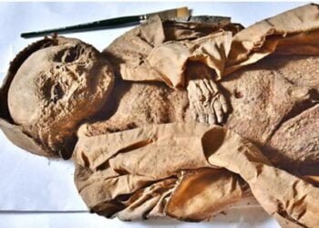 Renaissance-era baby may have died from living in darkness for a year