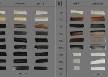 New technique makes it easier to determine how early humans used fire