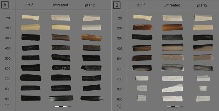New technique makes it easier to determine how early humans used fire