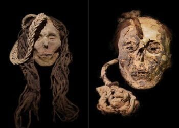 Ancient "Trophy Head" Shows Child Victim Consumed Psychedelic San Pedro in Peru