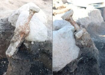 Archaeologists discovered a pair of 1,200-year-old Viking swords in Sweden