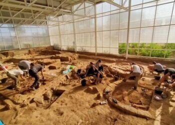 Fragment of ancient Egyptian goddess found at an Iron Age settlement in Spain