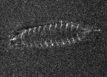 Archaeologists in Norway found a medieval shipwreck