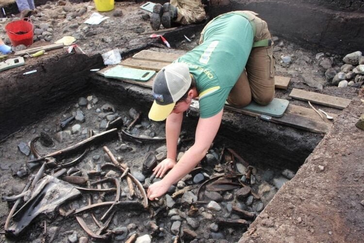 Researchers shed light on the lives of Stone Age hunter-gatherers in England