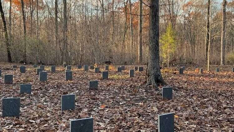 Graves of 144 enslaved people discovered on Rock Hill property