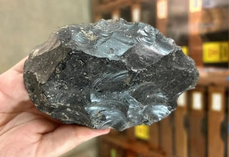 1.2-million-year-old obsidian handaxe-making workshop found in Ethiopia