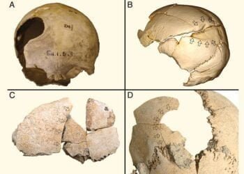 Violence was widespread in early farming society, new study reveals