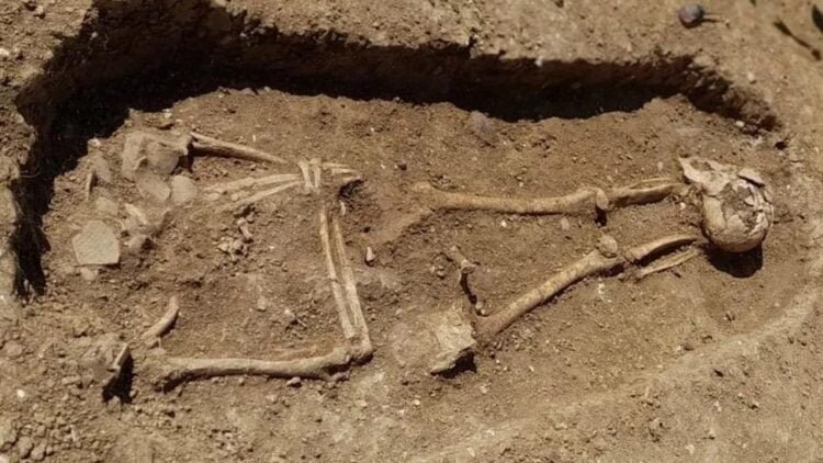 A mass burial of headless Roman skeletons found in England
