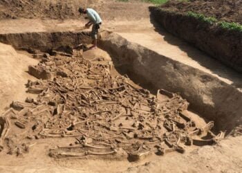 Archaeologists find prehistoric headless skeletons in a settlement trench