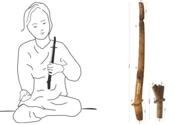 A 2,000-year-old stringed instrument was discovered in Vietnam