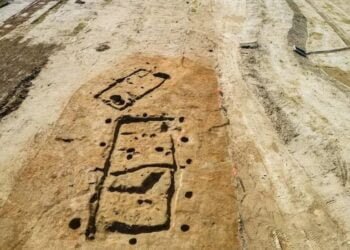 Prehistoric find sheds insight on Neolithic life in Britain