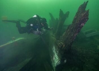 A trove of Medieval spices found in 500-year-old shipwreck