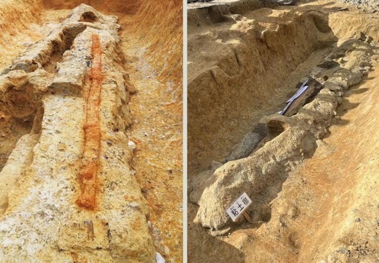 Giant 2.3-meter dakoken sword discovered In Japan