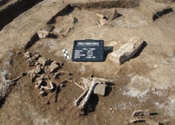 Archaeologists dug for evidence of the Rosetta Stone's ancient Egyptian rebellion