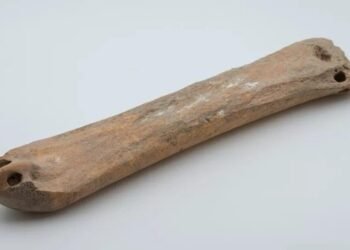 Bronze Age bone skates discovered in China