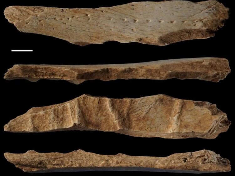 A tailoring tool from 39,600 years ago