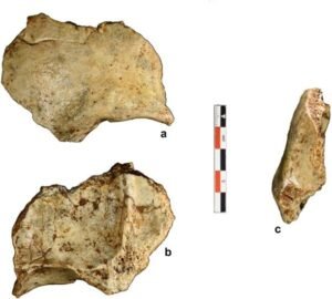 Oldest signs of modern humans from 86,000 years ago found in Laotian cave