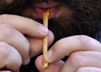 12,000-year-old flutes discovered in northern Israel