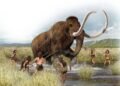 Mammoths and early human society: A Glimpse into the Past