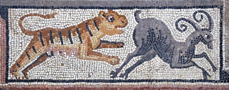 Archaeologists uncovers stunning mosaics in Galilee archaeological dig