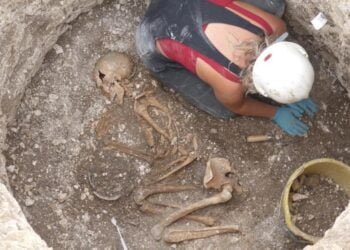 Archaeologists unearth 2000-year-old human remains and animal sacrifices in Dorset