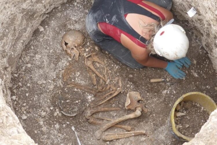 Archaeologists unearth 2000-year-old human remains and animal sacrifices in Dorset